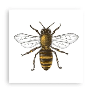 Affiche - Poster - Belle et bonne - 60x60 cm