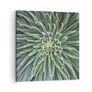 Impression sur toile - Image sur toile - Naissance d'une étoile - 60x60 cm