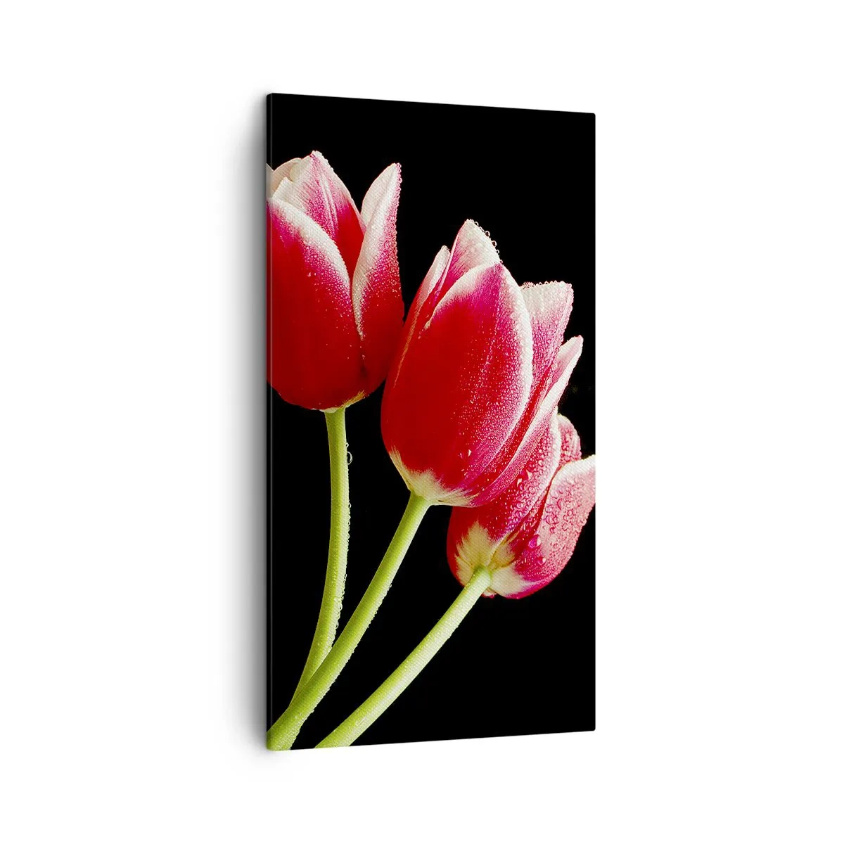 Impression sur toile - Image sur toile - Une promesse d'amour pur - 45x80 cm