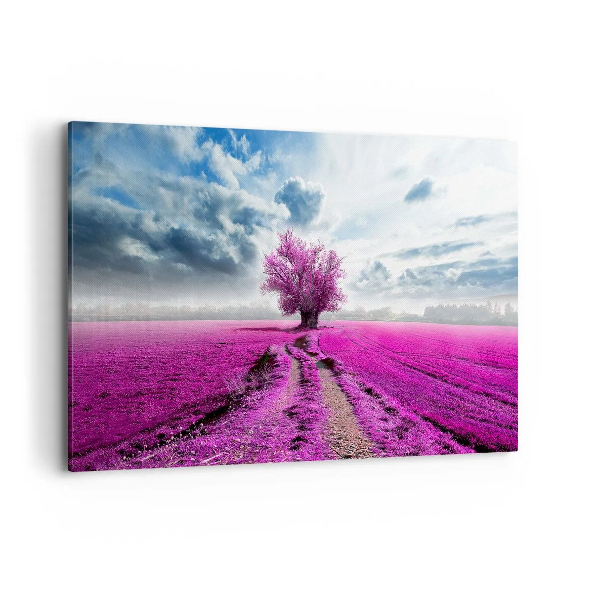 Impression sur toile - Image sur toile - Un arbre solitaire dans un champ dans une nuance de rose intense - 100x70cm - Lande - nature sauvage - Décoration murale moderne pour le salon et la chambre ARTTOR