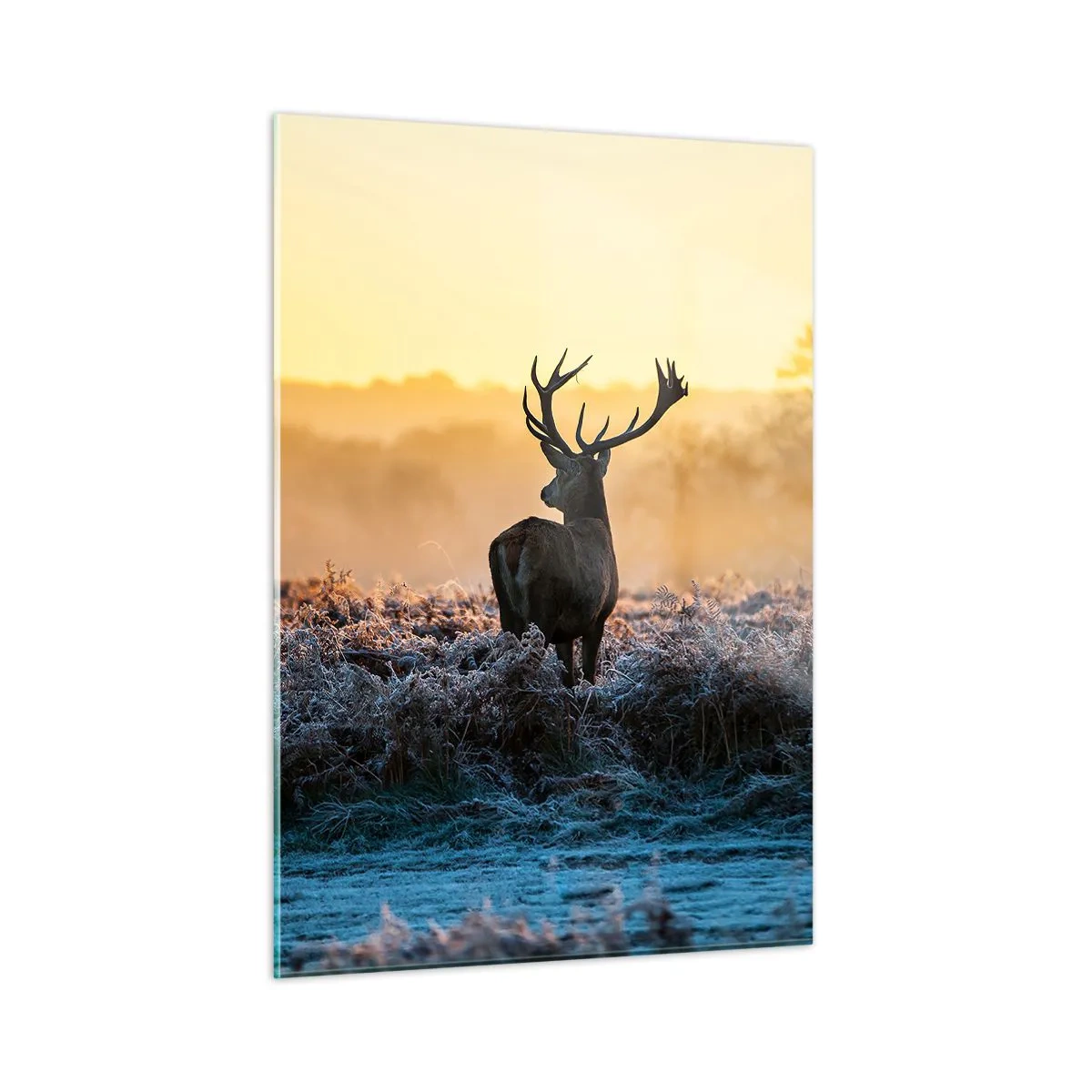 Impression sur verre - Image sur verre - Cerf par un matin glacial avec le lever du soleil en arrière-plan - 50x70cm - Couronné pour sa succession - Décoration murale moderne pour le salon et la chambre ARTTOR
