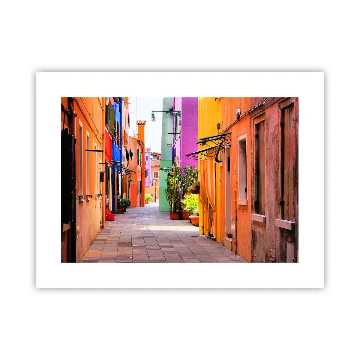 Affiche - Poster - Allée arc-en-ciel - 40x30 cm