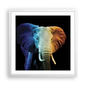 Affiche dans un cadre blanc - Poster - Excentrique, pas bizarre - 50x50 cm