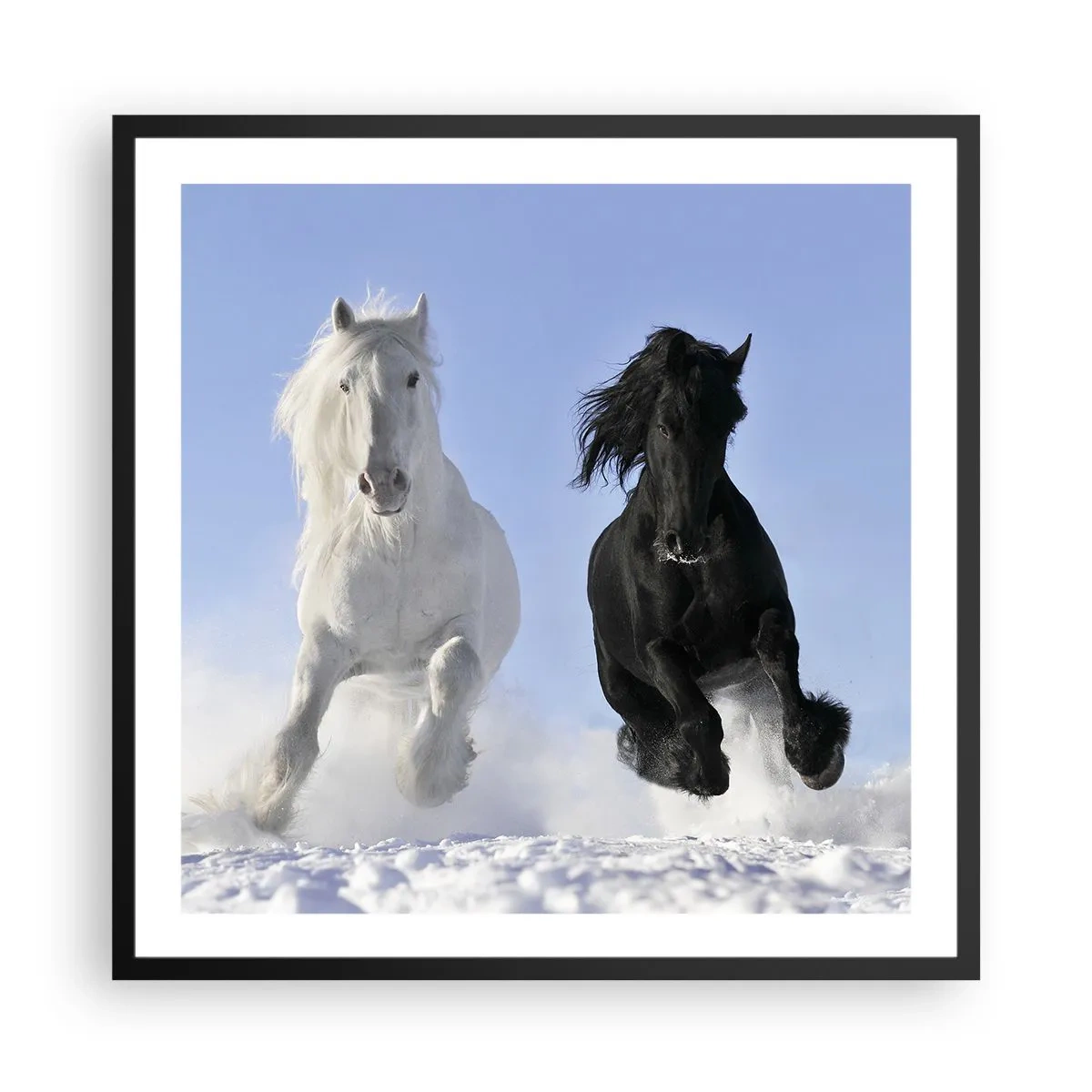 Affiche dans un cadre noir - Poster - Galop noir et blanc - 60x60 cm