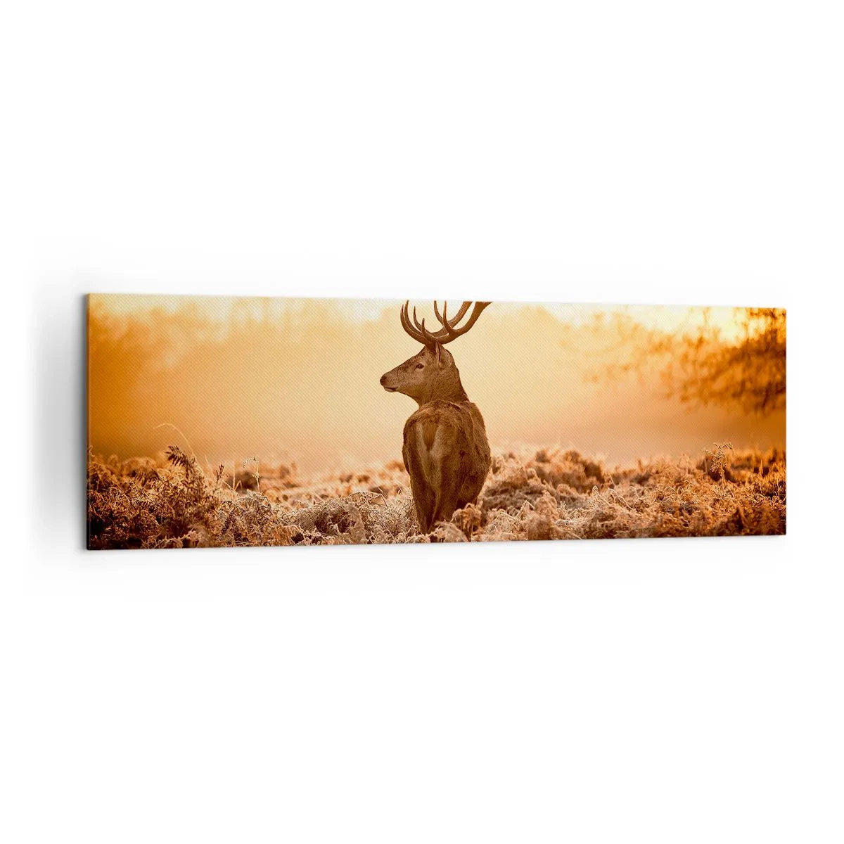 Impression sur toile - Image sur toile - Cerf dans les rayons du soleil levant - 160x50cm - Seigneur du domaine - Décoration murale moderne pour le salon et la chambre ARTTOR