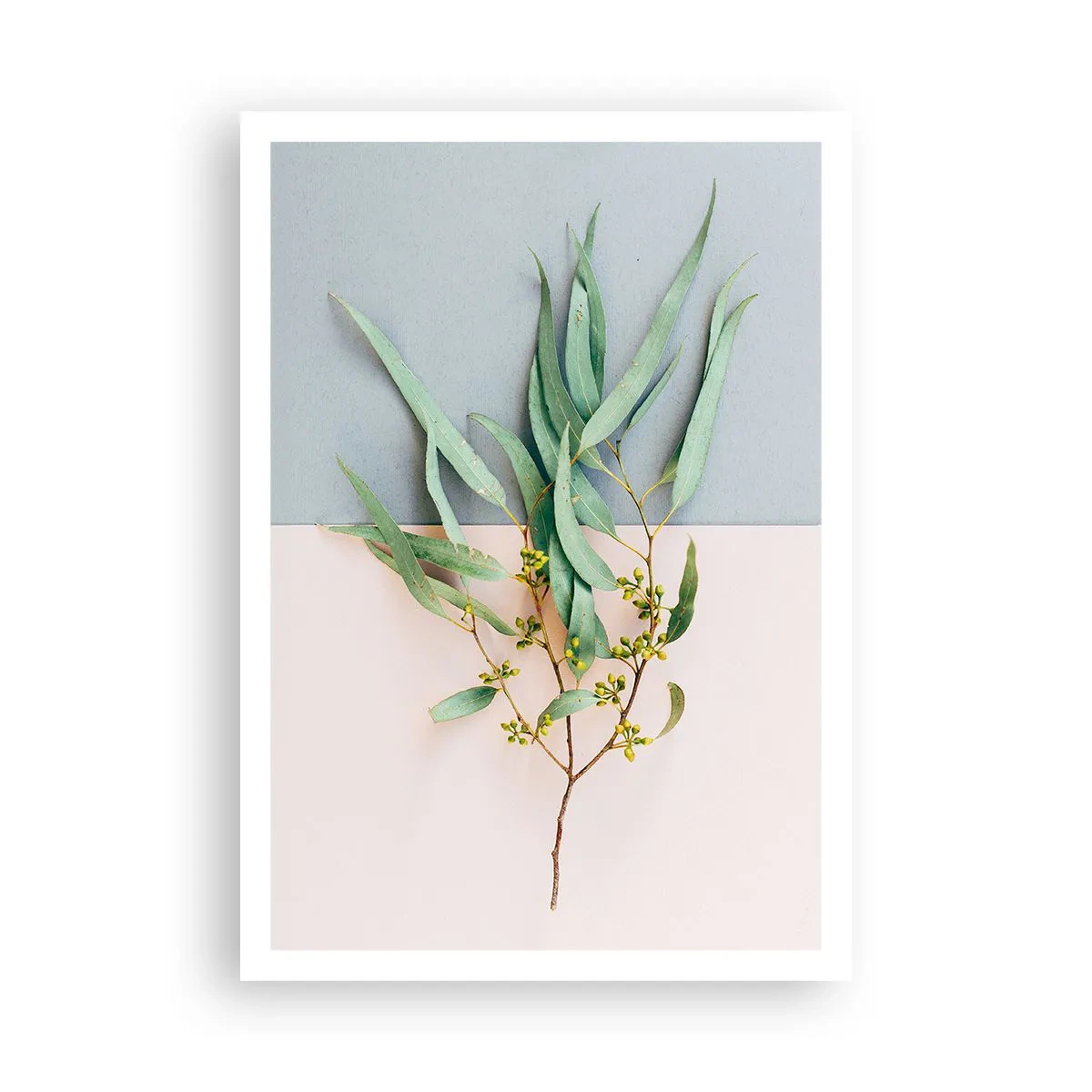 Affiche - Poster - Subtilité pastel - 70x100 cm