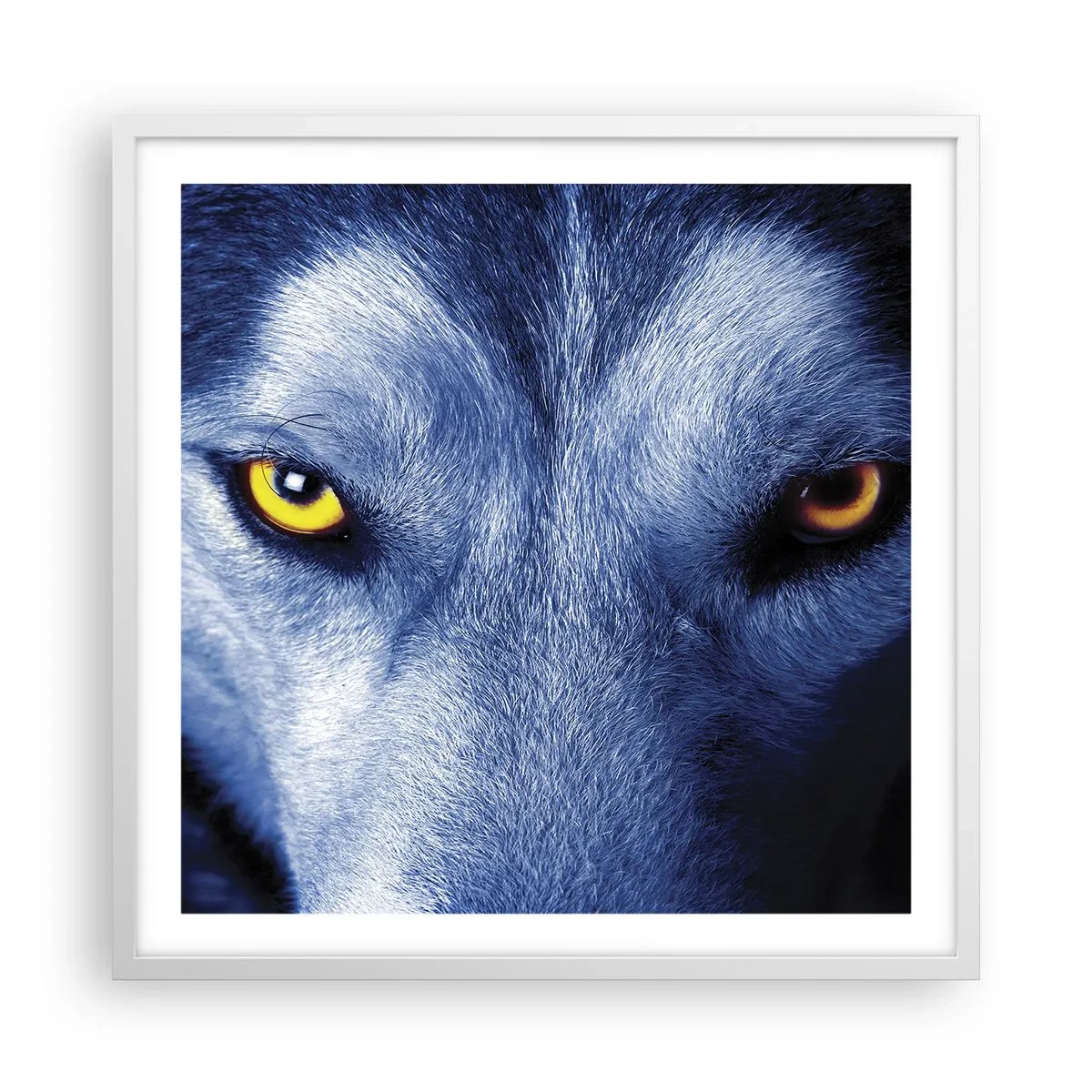 Affiche dans un cadre blanc - Poster - Regars hypnotique - 60x60 cm