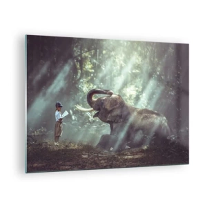 Impression sur verre - Image sur verre - Un garçon avec un livre et un éléphant dans un décor forestier - 70x50cm - Et écoute ça… - Décoration murale moderne pour le salon et la chambre ARTTOR