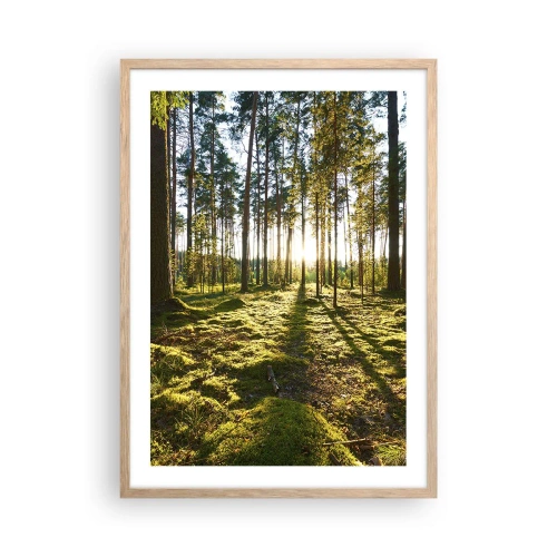 Affiche dans un chêne clair - Poster - … Derrière les sept forêts - 50x70 cm