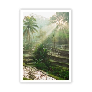 Affiche - Poster - Grandir au soleil - 70x100 cm