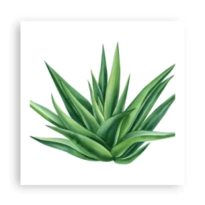 Affiche - Poster - Vert – force – vie - 60x60 cm