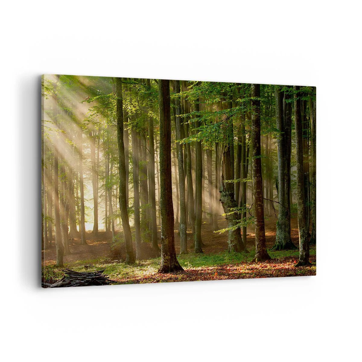 Impression sur toile - Image sur toile - Les rayons du soleil pénètrent à travers les arbres de la forêt - 100x70cm - Rayon d'un matin de printemps - Décoration murale moderne pour le salon et la chambre ARTTOR