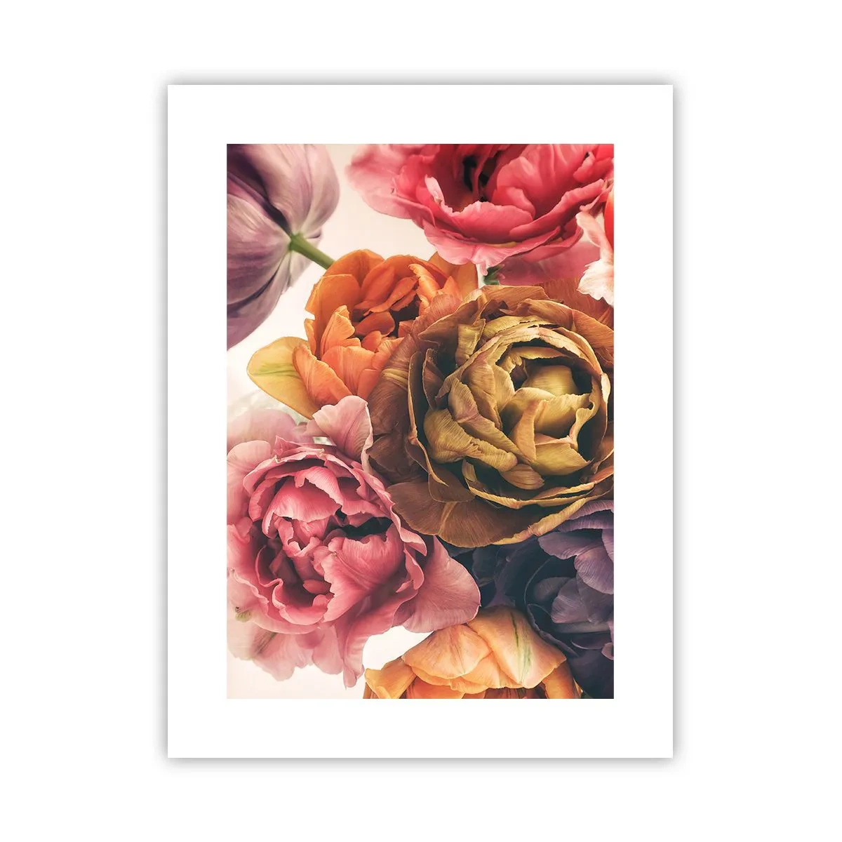 Affiche - Poster - La fête de la vie - 30x40 cm