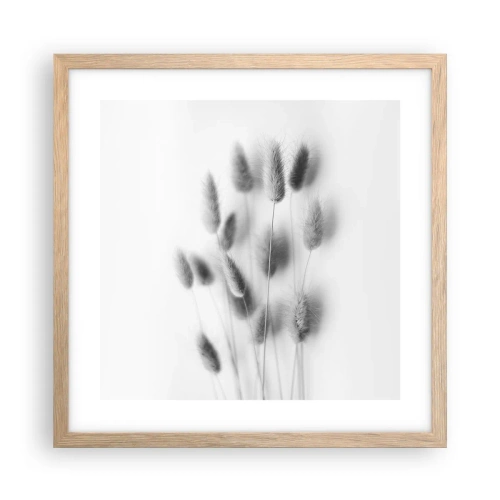 Affiche dans un chêne clair - Poster - Son herbe duveteuse - 40x40 cm