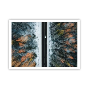 Affiche - Poster - Une route à travers une forêt hivernale vue à vol d'oiseau - 100x70cm - Couper à travers la forêt d'hiver - Décoration murale moderne pour le salon et la chambre ARTTOR