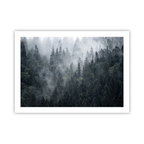 Affiche - Poster - Aube de la forêt - 70x50 cm