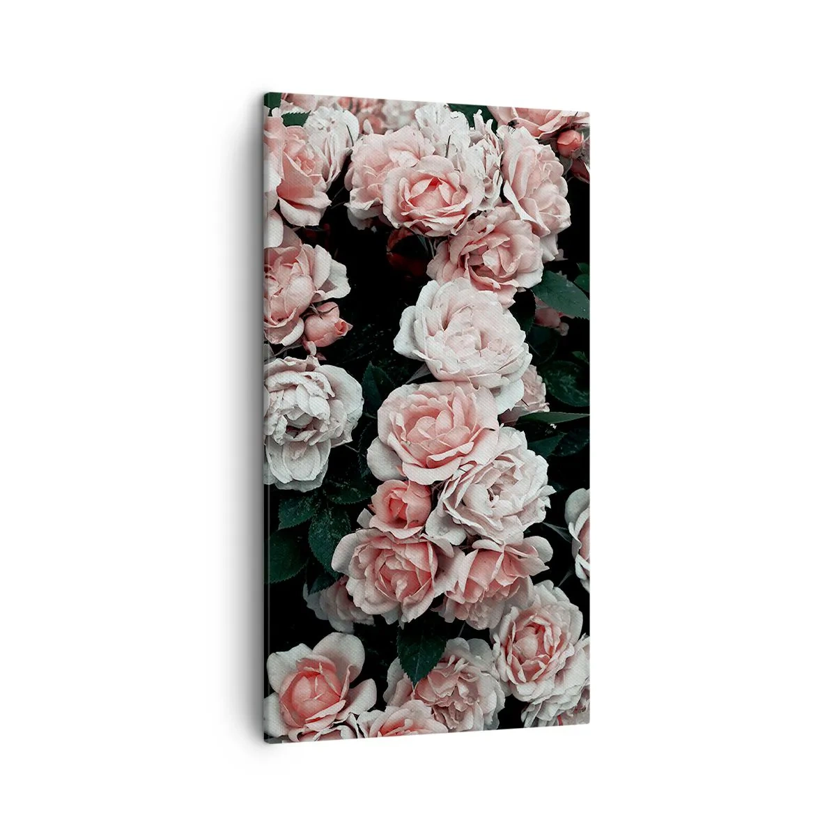 Impression sur toile - Image sur toile - Ensemble de rose - 45x80 cm