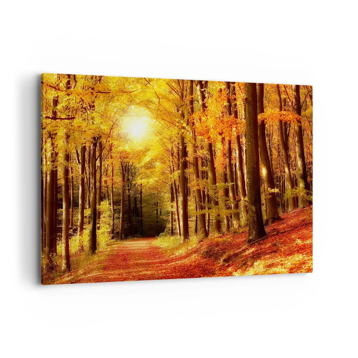 Impression sur toile - Image sur toile - Forêt d'automne avec les rayons du soleil qui brillent à travers les arbres - 100x70cm - Automne doré sur une route forestière - Décoration murale moderne pour le salon et la chambre ARTTOR