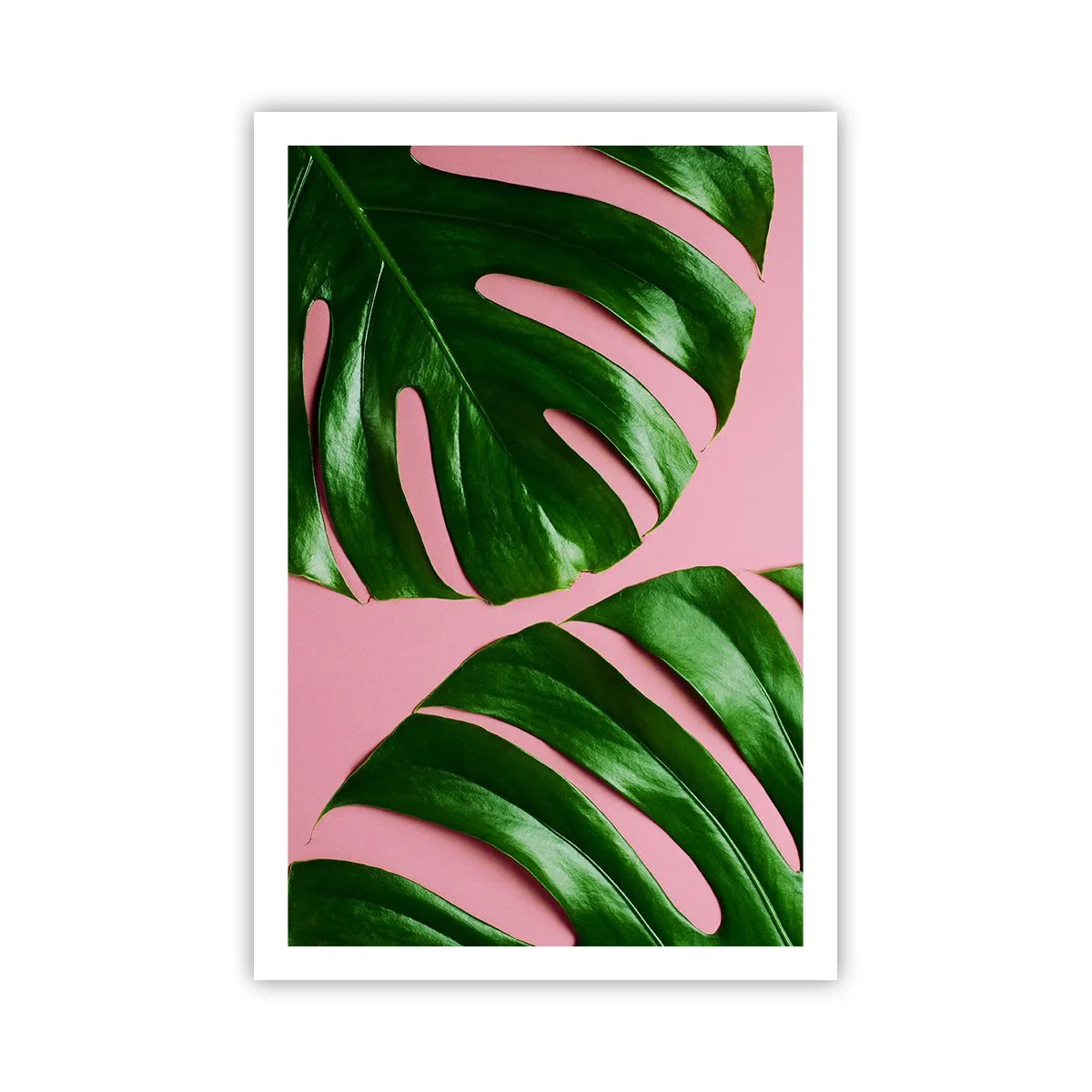 Affiche - Poster - Rendez-vous vert - 61x91 cm