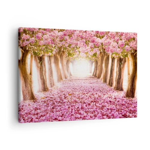 Impression sur toile - Image sur toile - Une avenue d'arbres fleuris aux tons roses - 70x50cm - La route du paradis - Décoration murale moderne pour le salon et la chambre ARTTOR