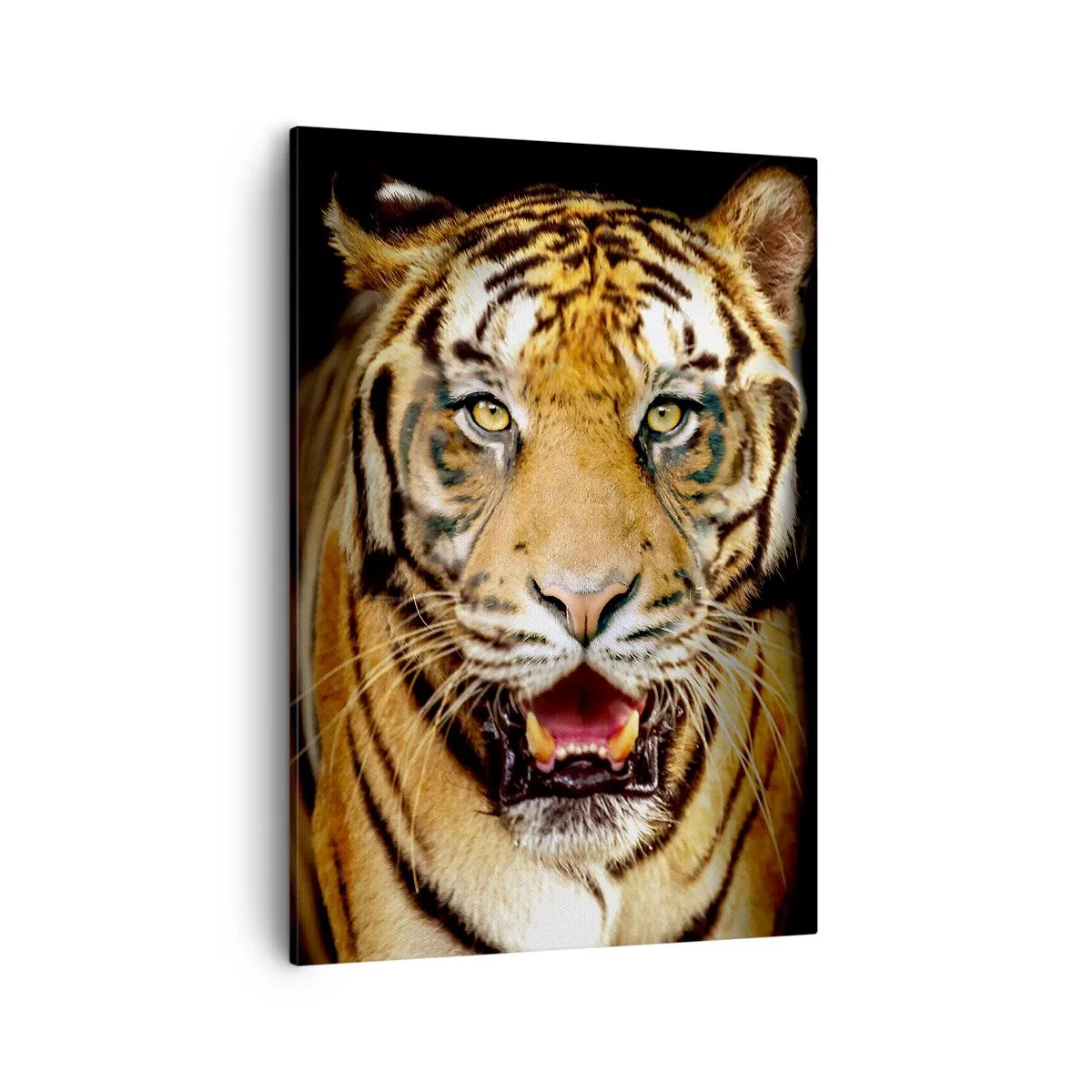 Impression sur toile - Image sur toile - Un tigre avec la gueule ouverte sur un fond noir - 50x70cm - Le coeur sauvageon - Décoration murale moderne pour le salon et la chambre ARTTOR