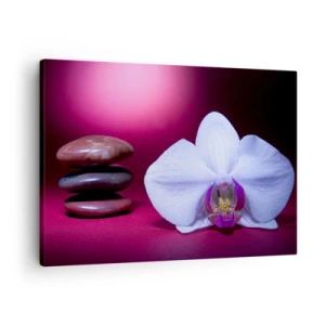 Impression sur toile - Image sur toile - Orchidée blanche et pierres sur fond rose - 70x50cm - Une étude de fraîcheur en violet - Décoration murale moderne pour le salon et la chambre ARTTOR
