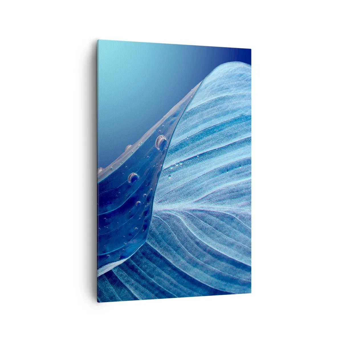 Impression sur toile - Image sur toile - Une feuille bleue avec des gouttes d'eau visibles - 80x120cm - Gouttes cachées du bleu - Décoration murale moderne pour le salon et la chambre ARTTOR