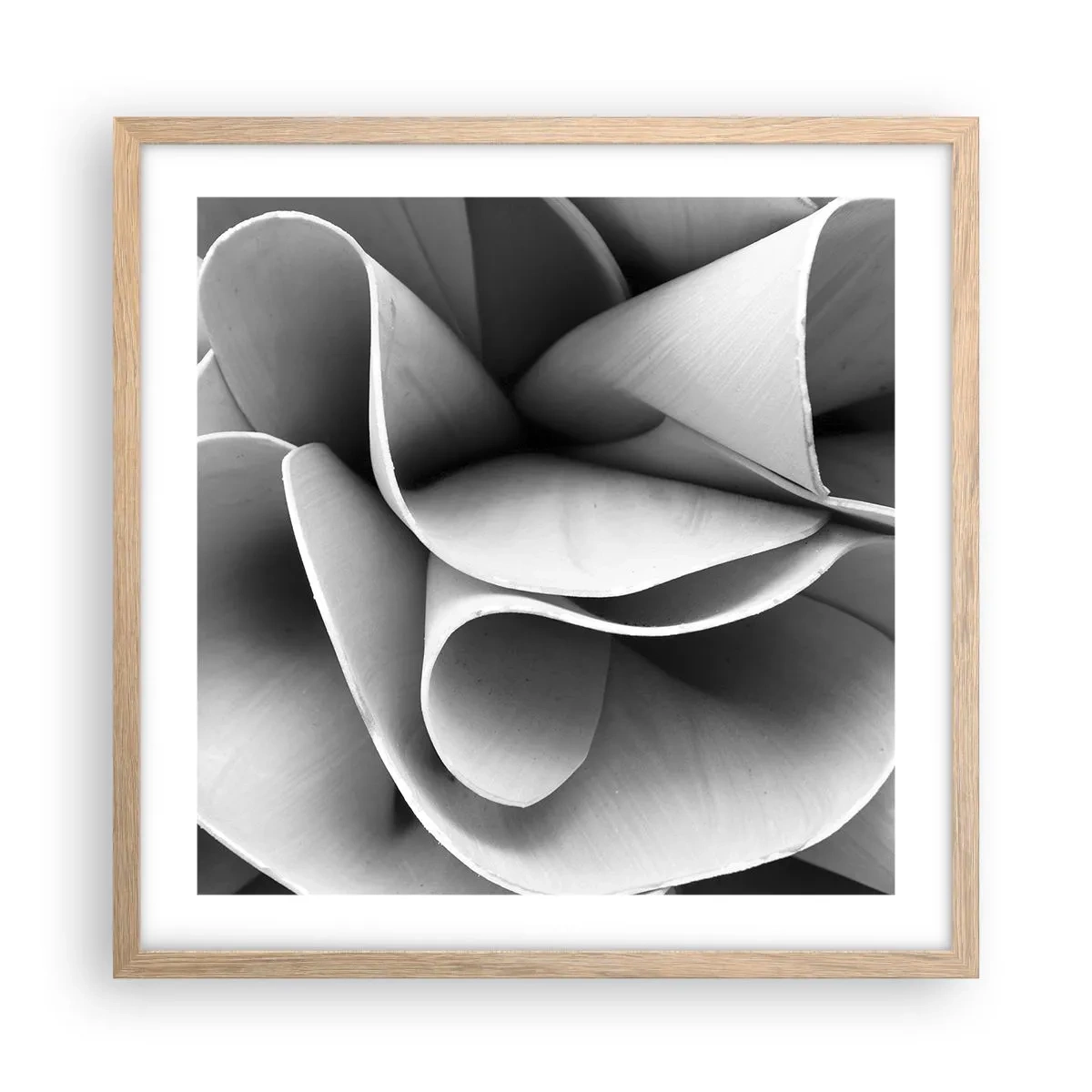 Affiche dans un chêne clair - Poster - Il s'en passe dans l'espace - 50x50 cm