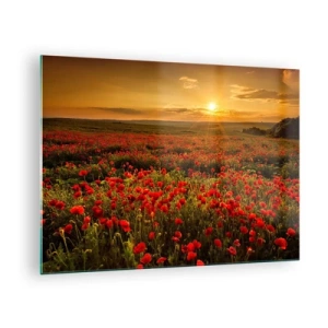 Impression sur verre - Image sur verre - Un champ de coquelicots illuminé par les rayons du soleil couchant - 70x50cm - Parmi les vagues des prairies bruissantes, parmi les fleurs du déluge - Décoration murale moderne pour le salon et la chambre ARTTOR