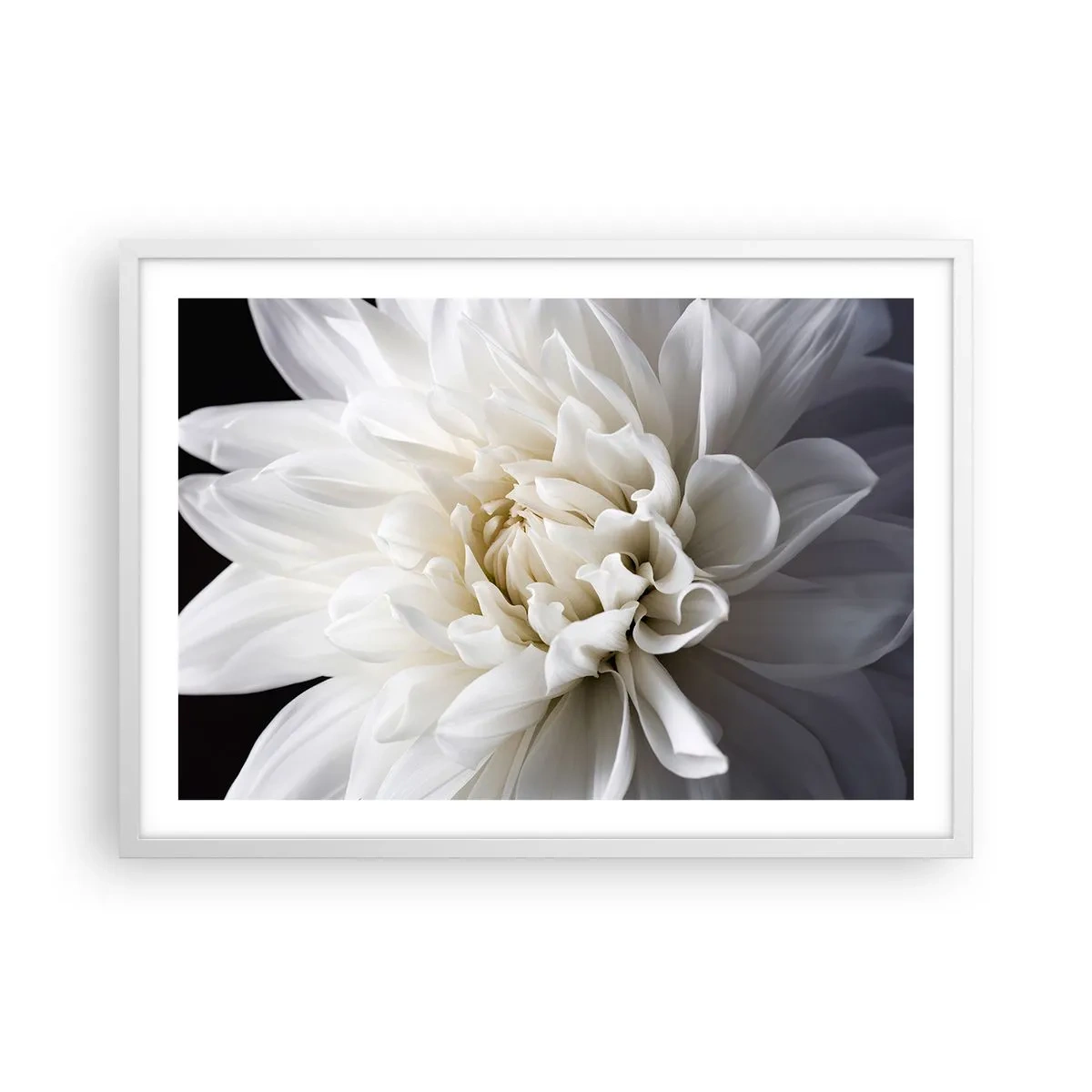 Affiche dans un cadre blanc - Poster - Le matin de la jeune mariéé - 70x50 cm