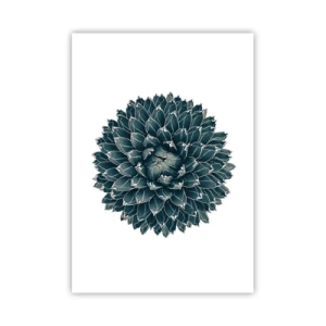 Affiche - Poster - Étoile du désert - 70x100 cm