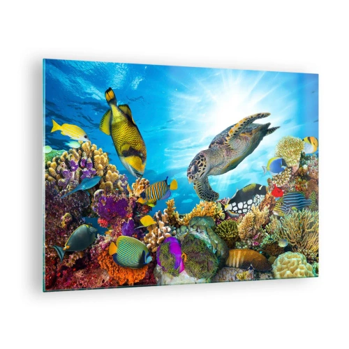 Impression sur verre - Image sur verre - Scène sous-marine avec tortue, poissons et coraux - 70x50cm - Promenade de corail - Décoration murale moderne pour le salon et la chambre ARTTOR