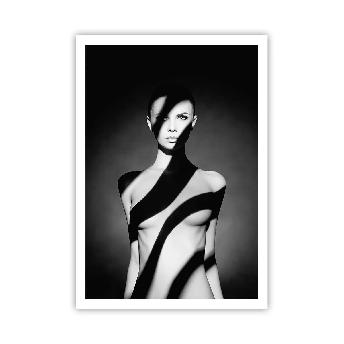 Affiche - Poster - Dans la brillance et l'ombre - 70x100 cm