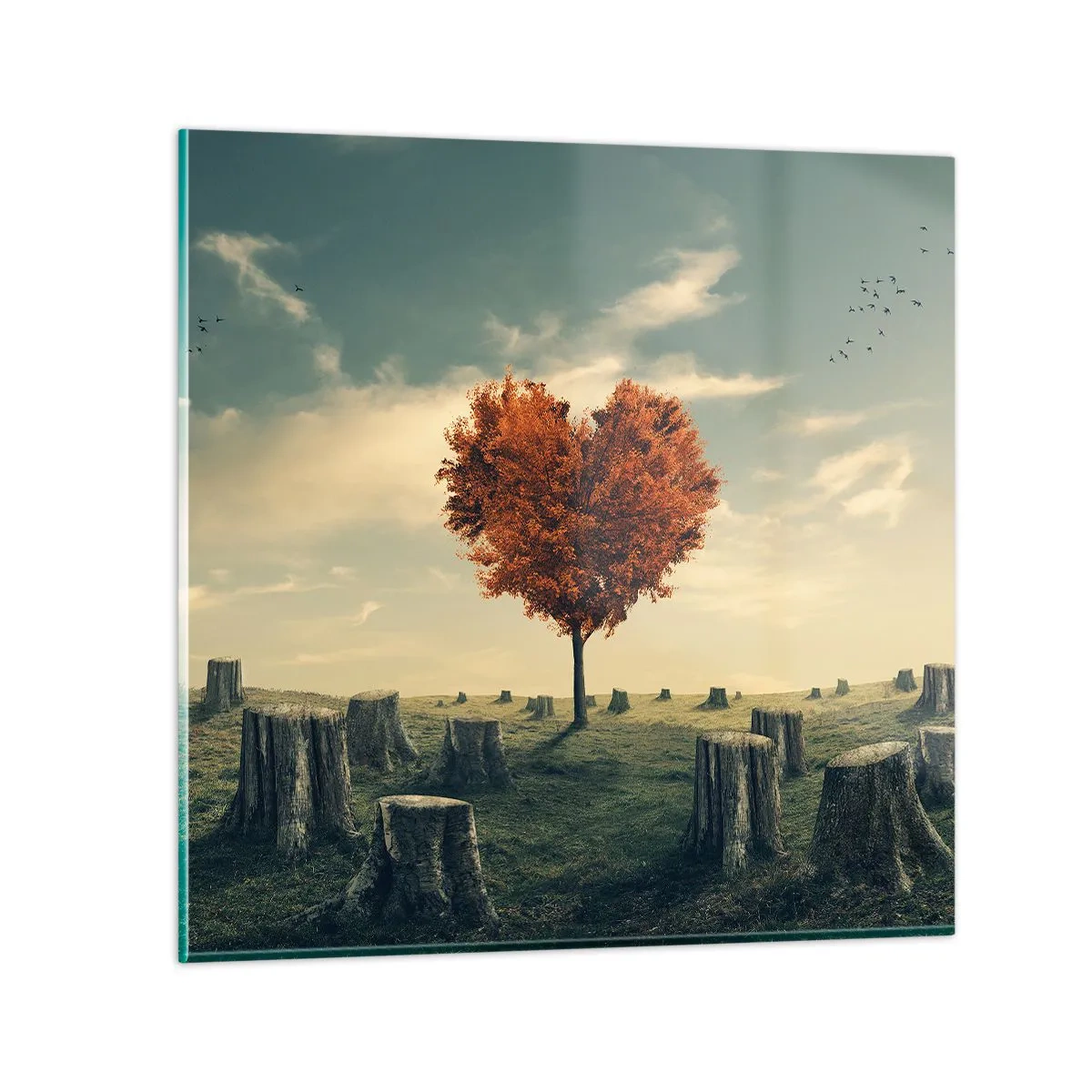 Impression sur verre - Image sur verre - Il y a toujours de l'espoir - 30x30 cm