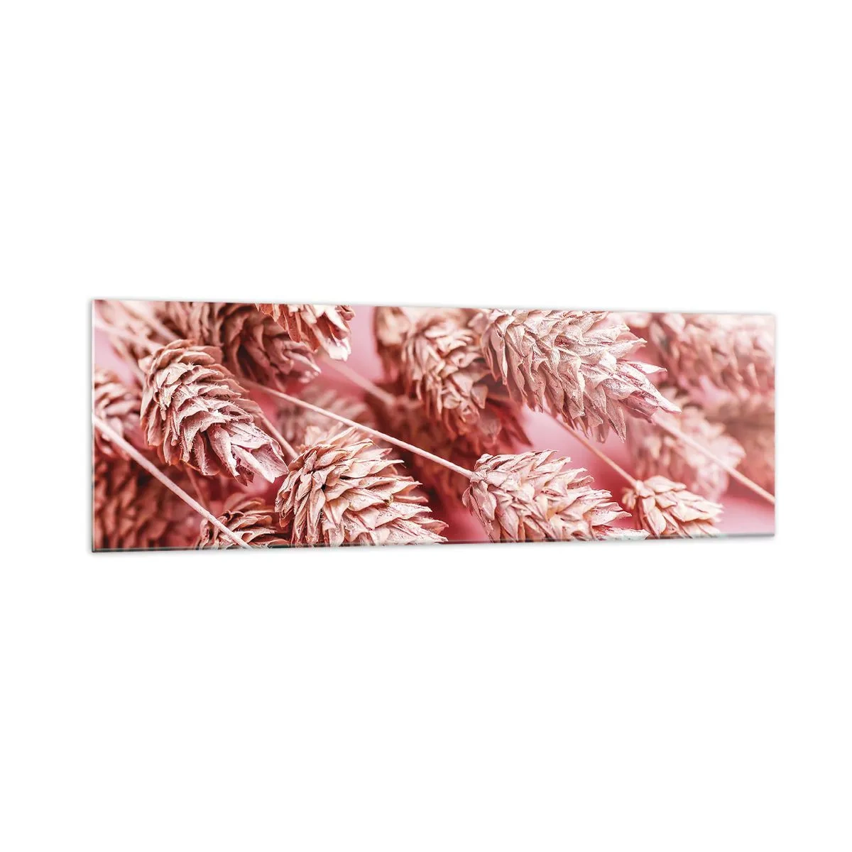 Impression sur verre - Image sur verre - Gros plan des oreilles teintées de rose - 160x50cm - Une cascade florale en rose - Décoration murale moderne pour le salon et la chambre ARTTOR