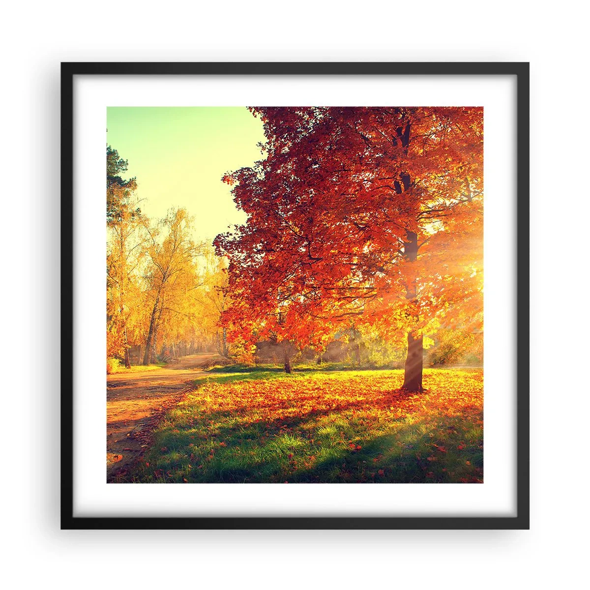 Affiche dans un cadre noir - Poster - Le roux est beau - 50x50 cm