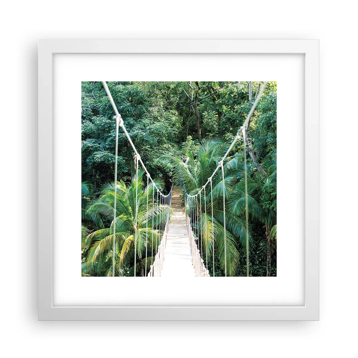 Affiche dans un cadre blanc - Poster - Welcome to the jungle! - 30x30 cm