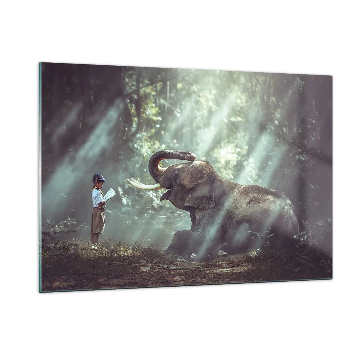 Impression sur verre - Image sur verre - Un garçon avec un livre et un éléphant dans un décor forestier - 120x80cm - Et écoute ça… - Décoration murale moderne pour le salon et la chambre ARTTOR