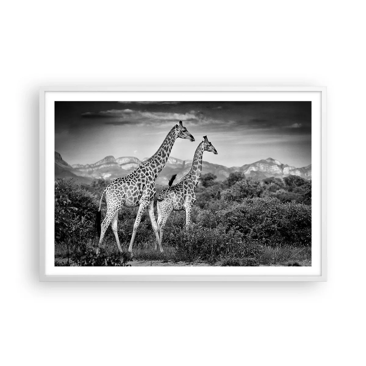 Affiche dans un cadre blanc - Poster - Hautes sphères en Afrique - 91x61 cm