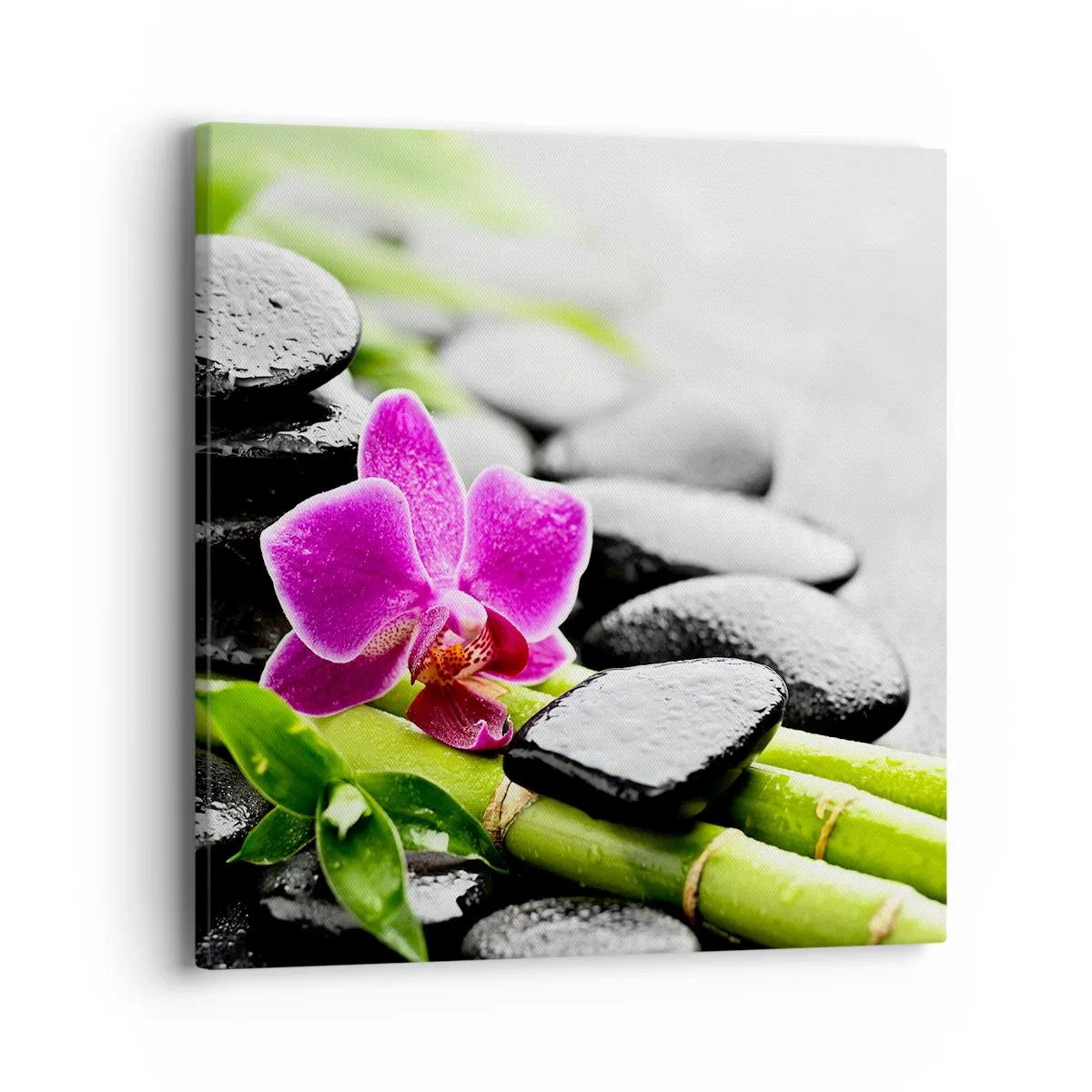 Impression sur toile - Image sur toile - Dans un équilibre de calme - 40x40 cm