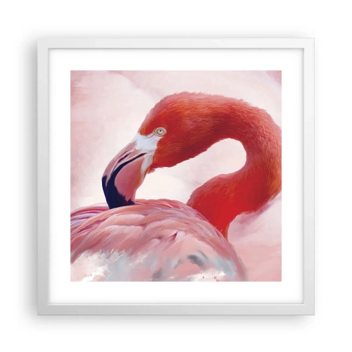 Affiche dans un cadre blanc - Poster - Beauté des oiseaux - 40x40 cm