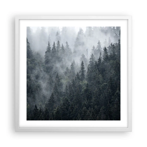 Affiche dans un cadre blanc - Poster - Aube de la forêt - 50x50 cm