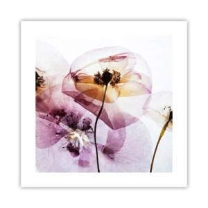 Affiche - Poster - Corps de fleurs transparente - 40x40 cm