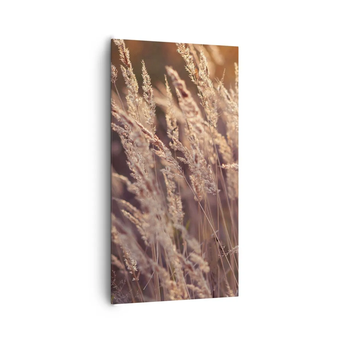 Impression sur toile - Image sur toile - Prêt à accueillir l'automne - 65x120 cm