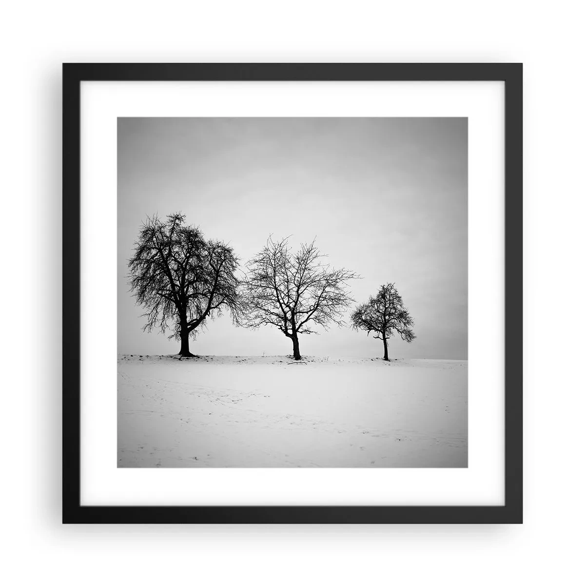 Affiche dans un cadre noir - Poster - A quoi rêvent-ils? - 40x40 cm