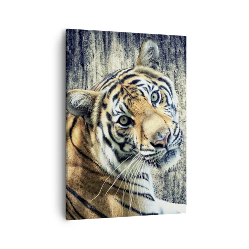 Impression sur toile - Image sur toile - Un tigre couché contre un mur à la texture rugueuse - 50x70cm - Portrait dans les flots de lumière - Décoration murale moderne pour le salon et la chambre ARTTOR