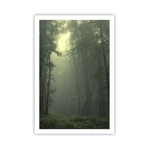 Affiche - Poster - Avant qu'il ne se réveille - 61x91 cm