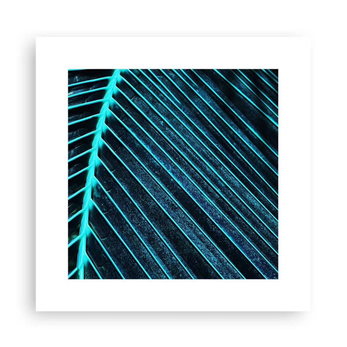 Affiche - Poster - Texture verte - 30x30 cm