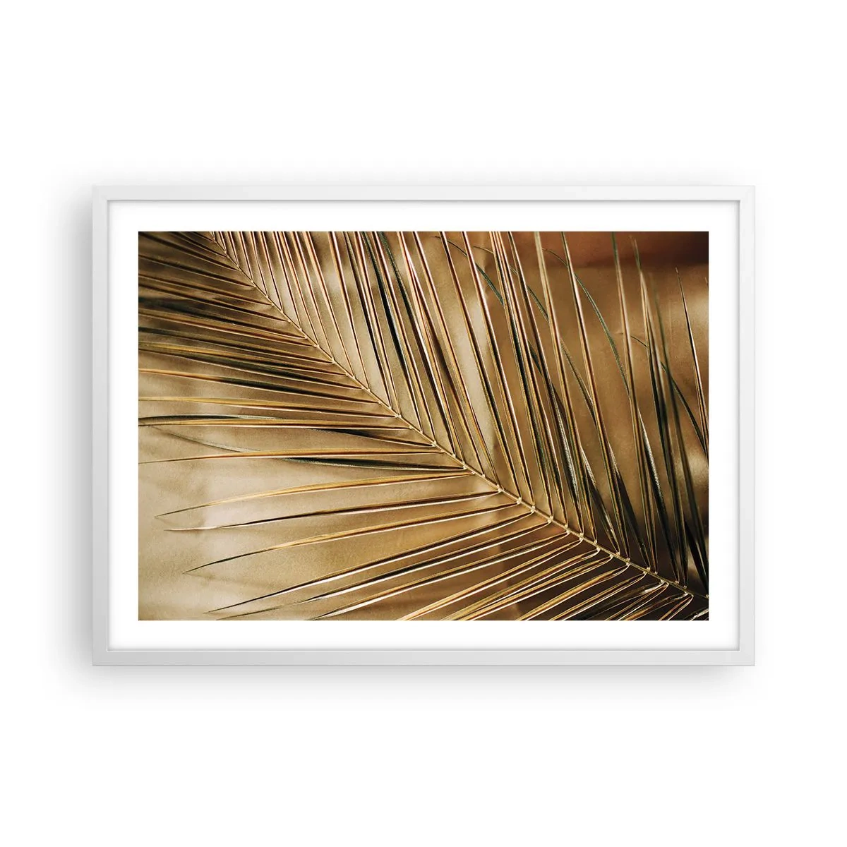 Affiche dans un cadre blanc - Poster - Colonnade naturelle - 70x50 cm