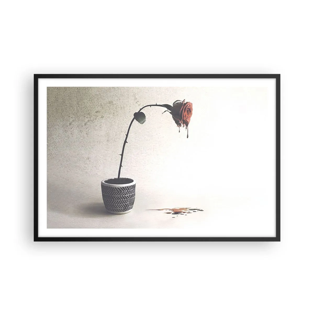 Affiche dans un cadre noir - Poster - Rosa dolorosa - 91x61 cm